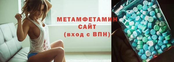 индика Новозыбков