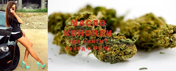 индика Новозыбков