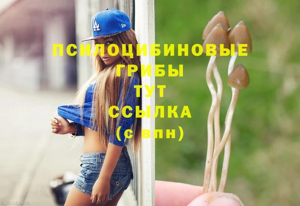 PSILOCYBIN Белоозёрский